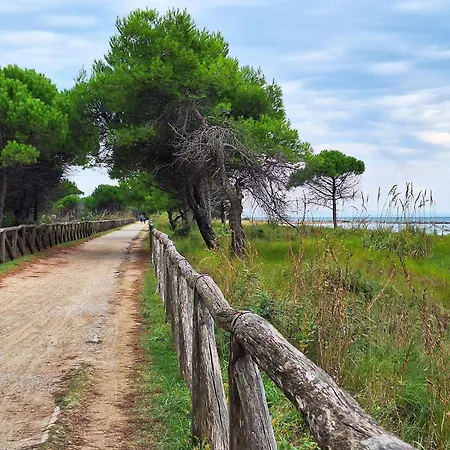Wonderful Next To Lägenhet Bibione