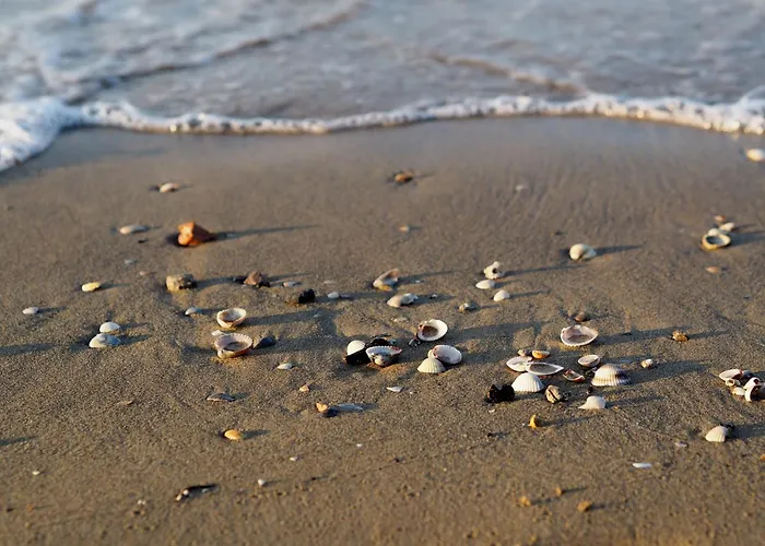 Wonderful Next To Bibione